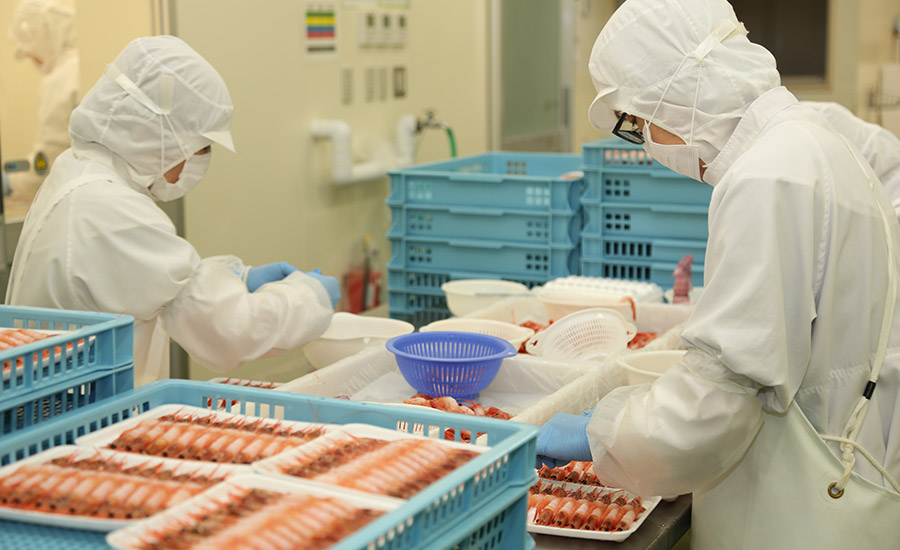 Cibaki Syoten Co., Ltd.